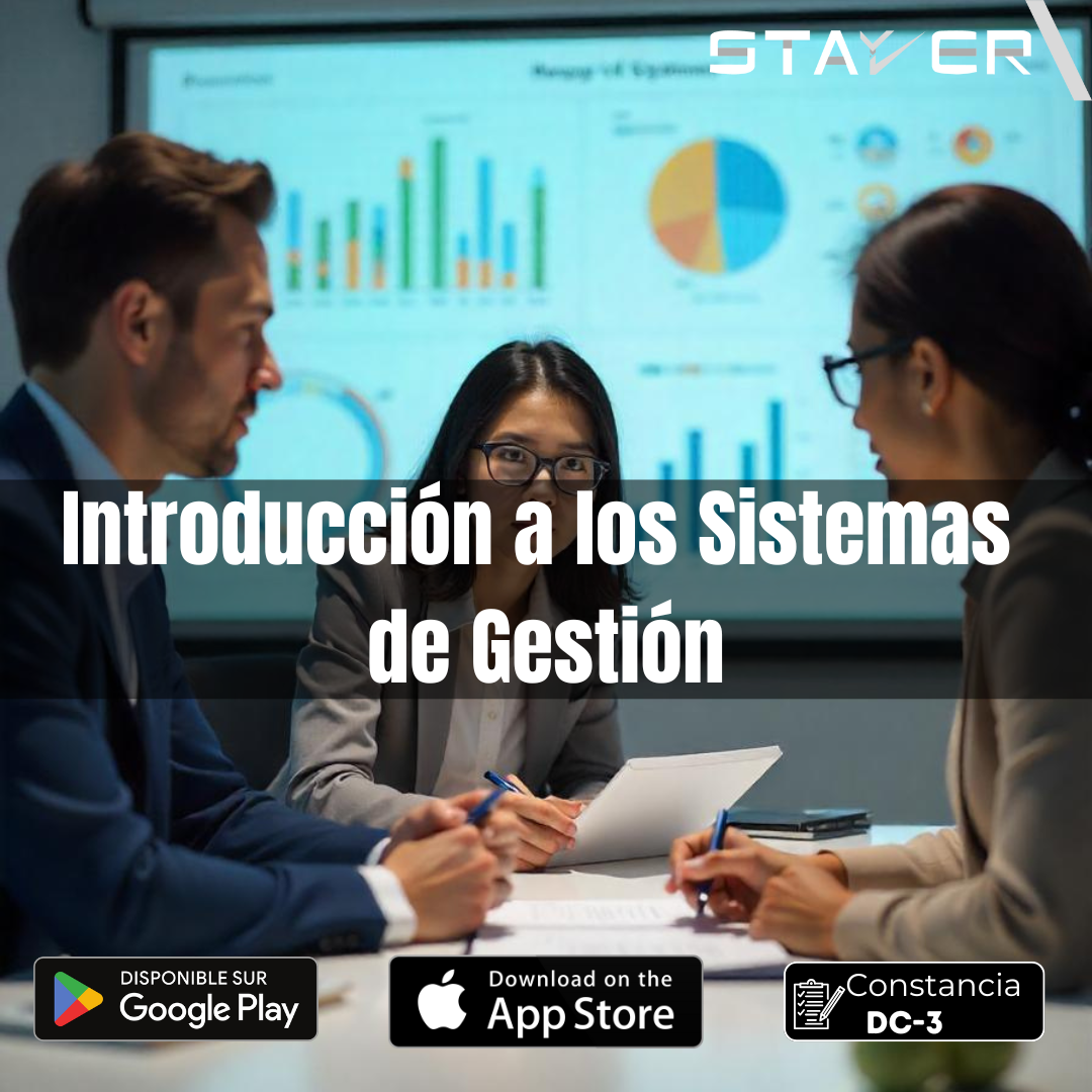 Introducción a los Sistemas de Gestión