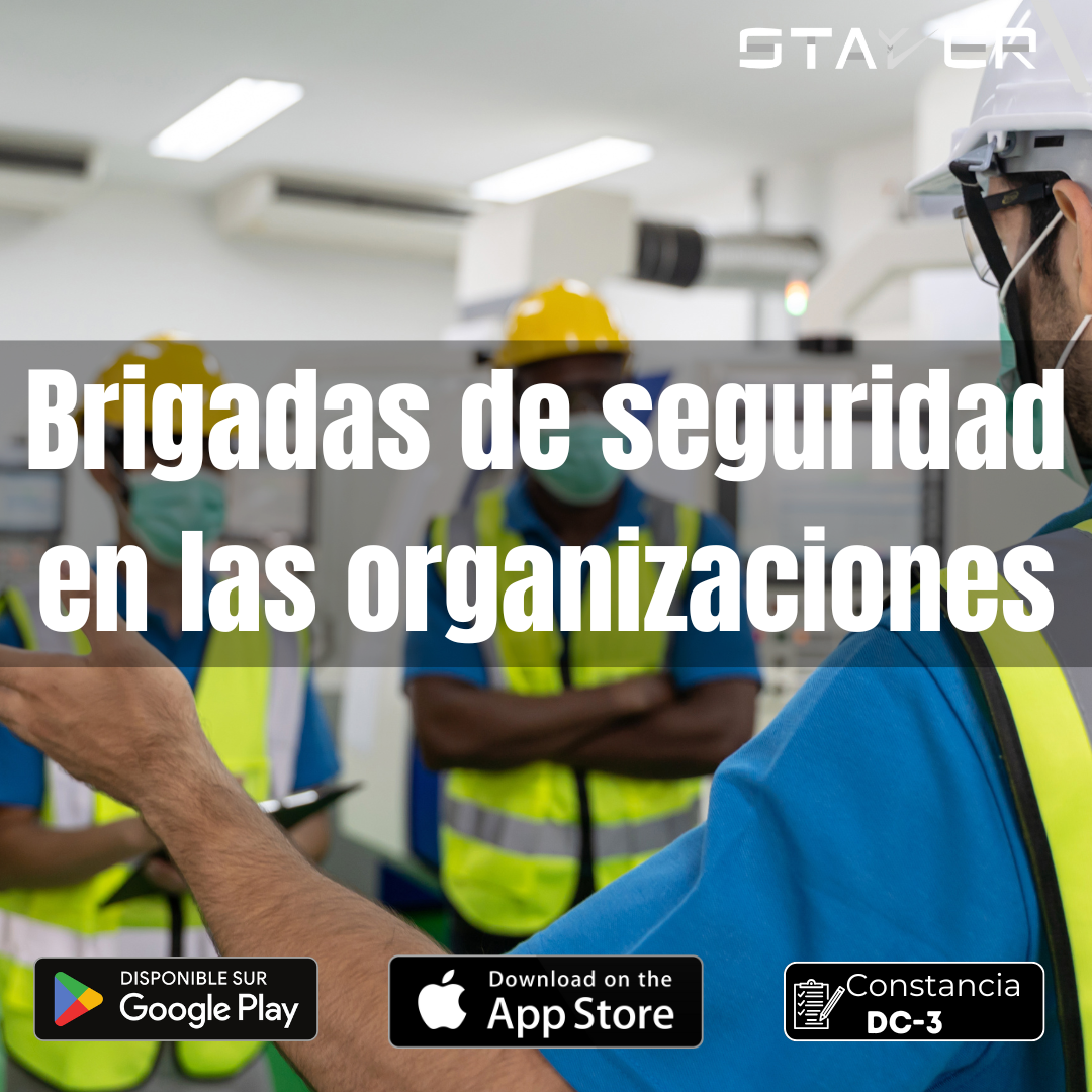 Brigadas de Seguridad en las Organizaciones