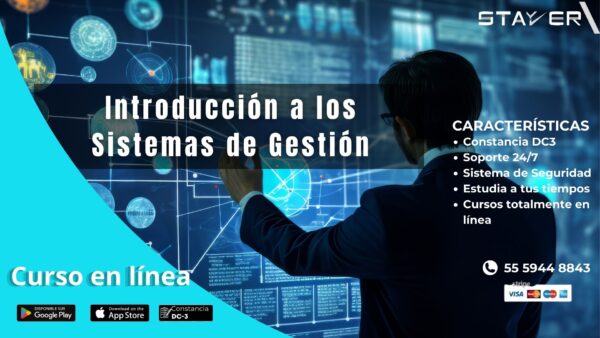 Introducción a los Sistemas de Gestión