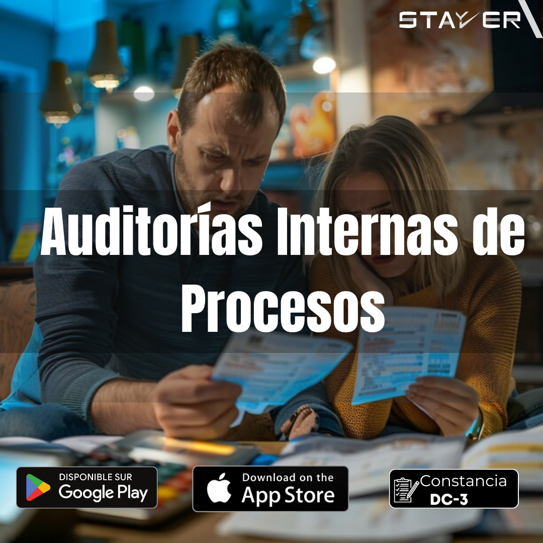 Auditorias Internas de Procesos