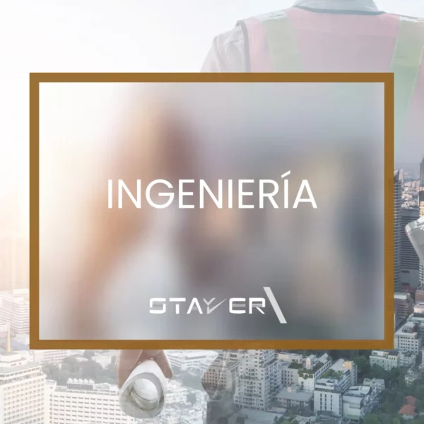 Categoría Ingeniería