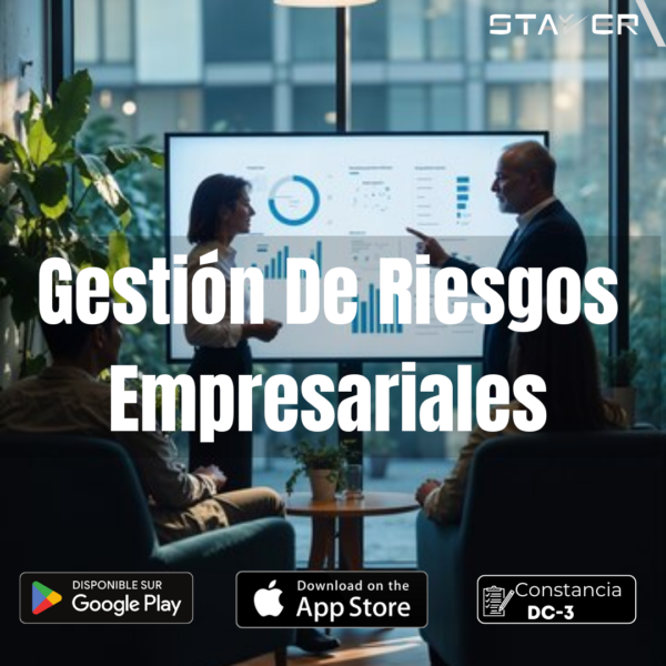 Gestión De Riesgos Empresariales