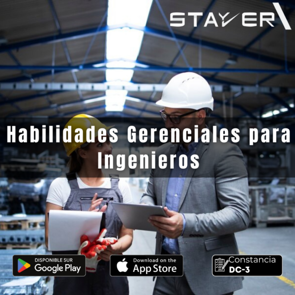 Habilidades Gerenciales para Ingenieros